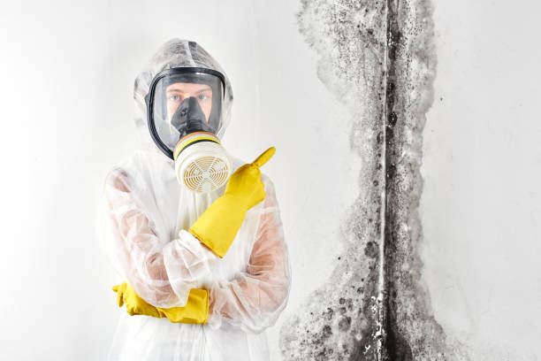 Best Mold Prevention Services  in North Salt Lake, UT