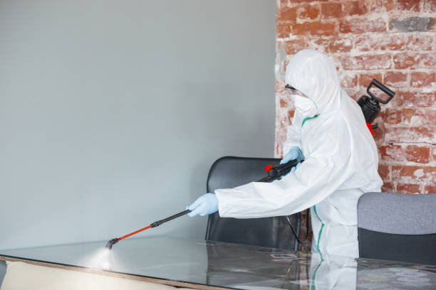 Best Industrial Mold Remediation  in North Salt Lake, UT