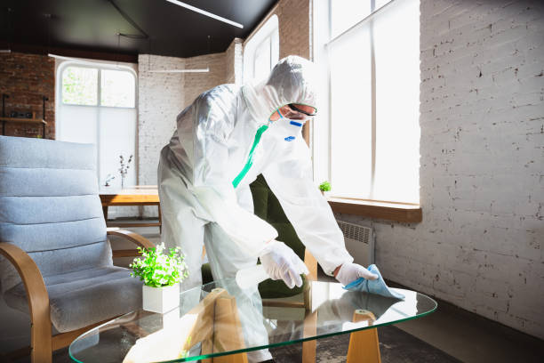 Professional Mold Removal Services in North Salt Lake, UT